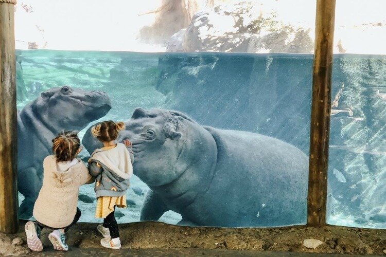 The Cincinnati Zoo is listed as one of the region's many family-friendly attractions.
