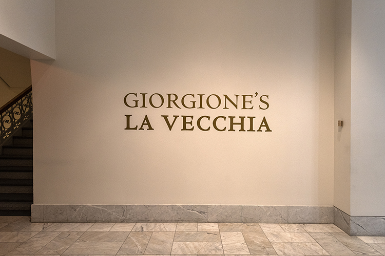 Gallerie dell’Accademia in Venice loaned the artwork to the museum.