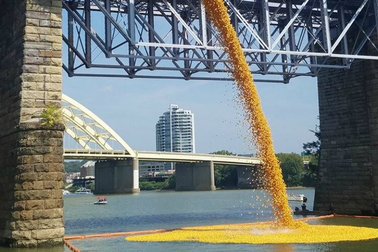 The Freestore Foodbank raised $1 million with 200,000 rubber ducks at this year's regatta. 