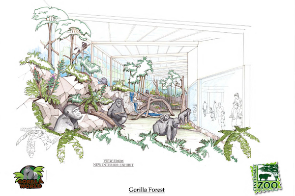  The new gorilla exhibit features a storm water catchment system and energy efficient initiatives. 