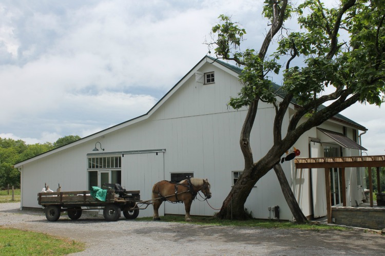 The Turner Farm Teaching Kitchen is housed in a renovated barn.