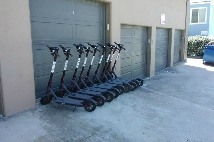 Bird scooters are becoming a popular mode of transportation in cities.