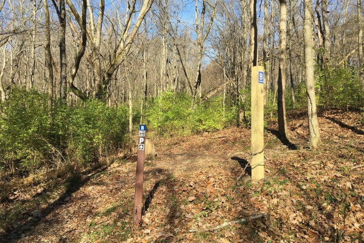 Posts clearly mark the two loops of the trail.