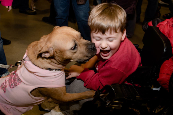 More than 13,000 people turned out to interact with and adopt animals at My Furry Valentine