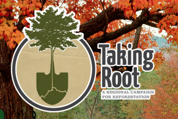 The Taking Root reforestation campaign pledges to plant two million trees in Cincinnati by 2020.