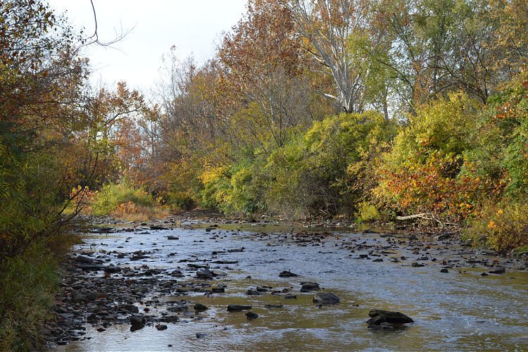 Banklick Creek widens over rocky outcroppings in Pioneer Park in Covington.