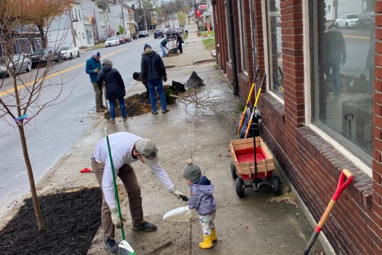Over seventy volunteers have participated in four tree plantings to date.