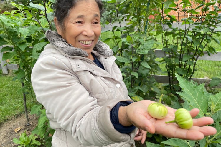 Cian Sung, one of the earliest Chin refugees to settle in Villa Hills in 2007. She holds one of many vegetables from her garden; this one is a sentawk. It looks like a small green pumpkin, and tastes like bitter eggplant. 