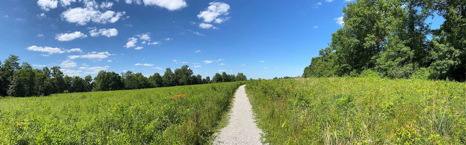 An unspoiled open prairie at the Cincinnati Nature Center features 100 native plants with staggered blooming seasons that ensure a colorful path from April through October. 