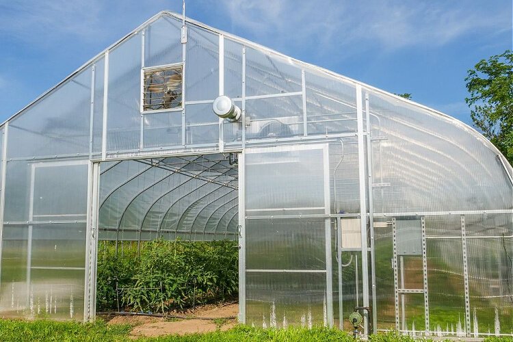 A bountiful greenhouse helps expand the Greenacres growing season.