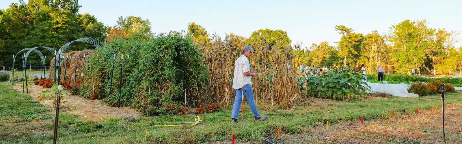 Ian Zeglin, the Greenacres Foundation’s Associate Director of Garden Operations, surveys its field on Spooky Hollow Road in Indian Hill.
