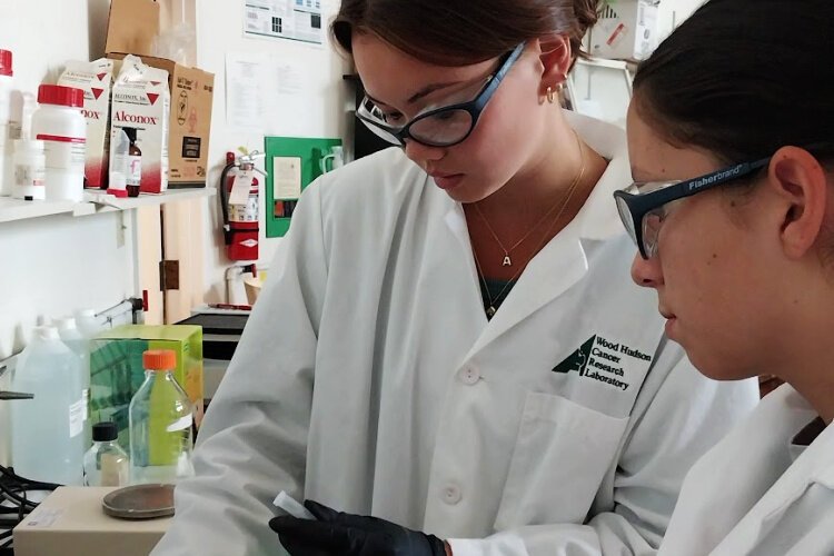 Wood Hudson Cancer Research Laboratory 2025 Undergraduate Research Education Program (UREP) students (l to r) Abby Bocian and Emma Lykins work together in the lab.