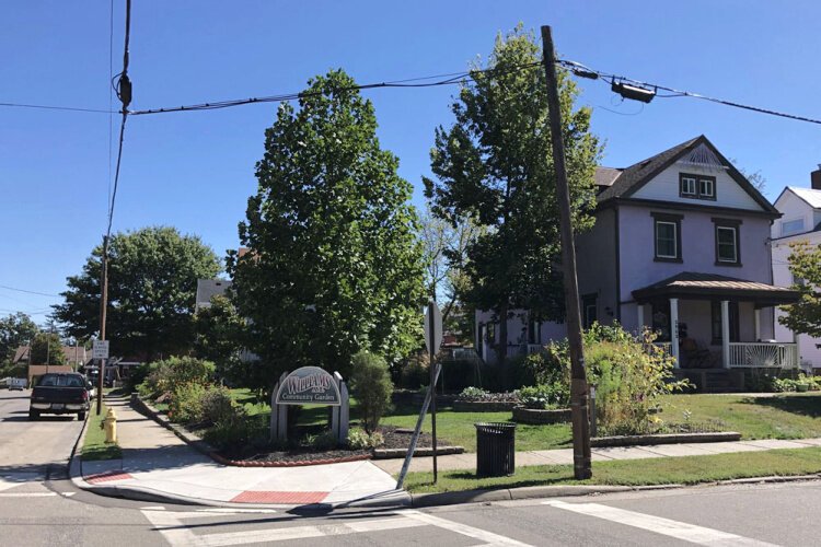 Pocket park and community garden on Williams Avenue, Norwood.