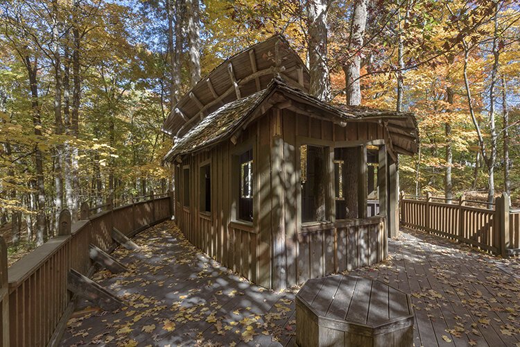 Built in 2006 at Mt. Airy Forest, Everybody's Treehouse provides a hobbit-like, rustic structure that adds considerable charm and a breathtaking vista of the Forest's lush canopy, which reached its peak splendor with leaves changing colors in Oct.