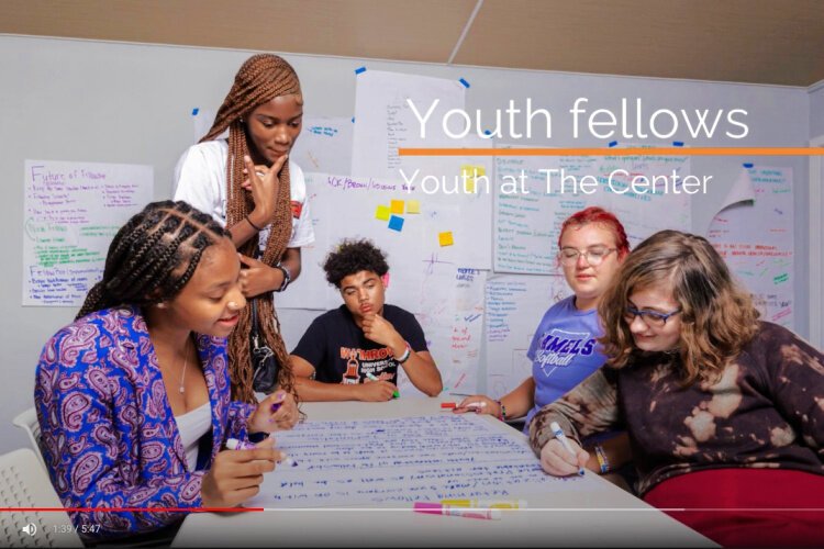 Youth fellows