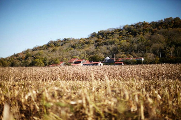 Carriage House Farm is improving its soil quality to grow nutritious food.