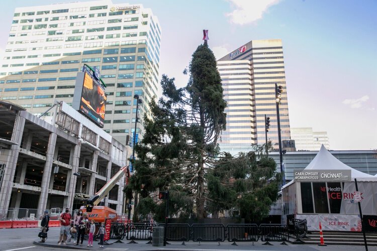 Due to a pandemic shortage of workers, the annual Fountain Square tree initially looked like something out of "A Charlie Brown Christmas."