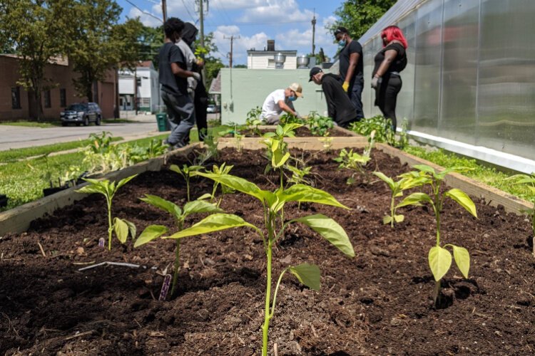 MadTree works with local nonprofits, like Groundwater Ohio River Valley and more. 