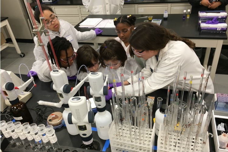 STEM Girls experience hands-on learning about life sciences at the MillaporeSigma lab in Norwood.