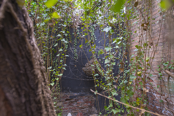 Secret reading spots at Iris Book Café.