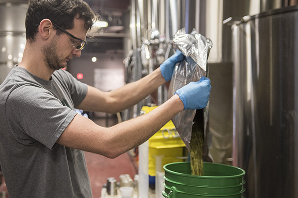 Weighing the hops