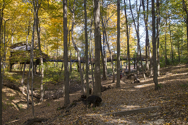 Mt. Airy Forest treehouse