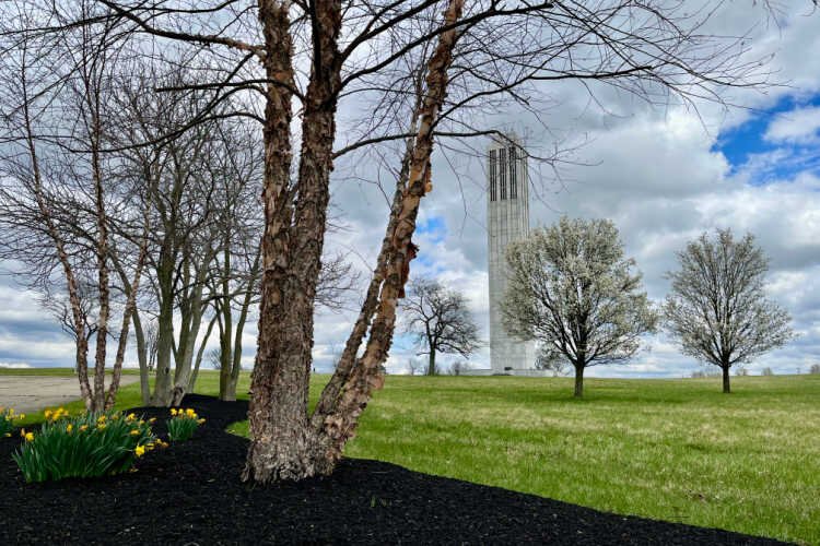 Tower at Ameritus Life insurance campus