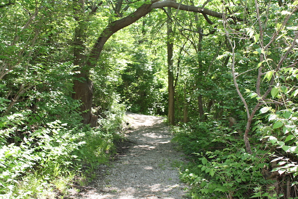 Gravel paths make the hillier portions of Tower Park's trails easier to traverse.