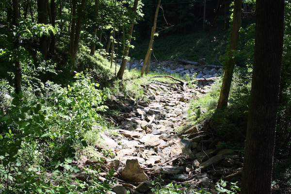 The trail system in Tower Park winds its way down to a wash that eventually feeds into the Ohio.