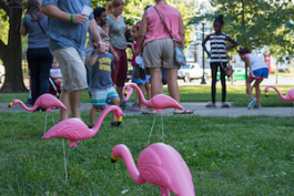  soapbox-600x400-flamingos.jpg