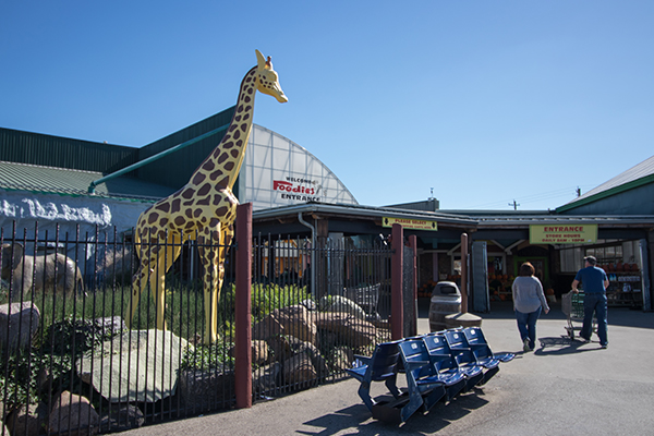 Wildlife statuary greets shoppers at Jungle Jim's International Market in Fairfield.