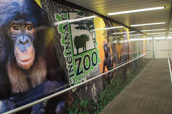 CVG relies on local partnerships with organizations like the Cincinnati Zoo to leave visitors with a lasting impression of the region.