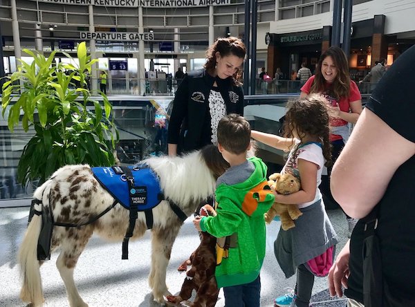 CVG received an award for its therapy horse program, a partnership with Seven Oaks Farm.