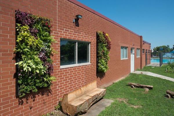  An example of a living wall at the Evanston Recreation Center. 