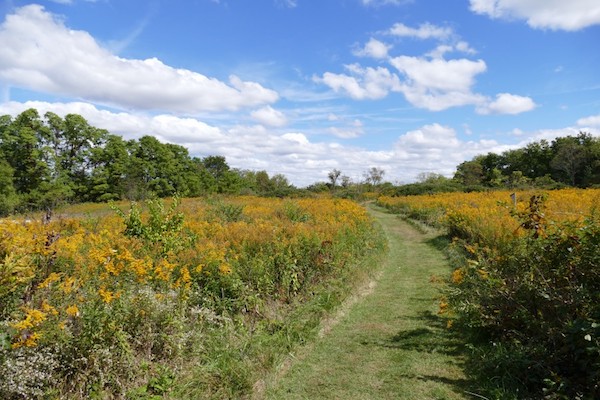 The Long Branch Farm Trails in Goshen Township.