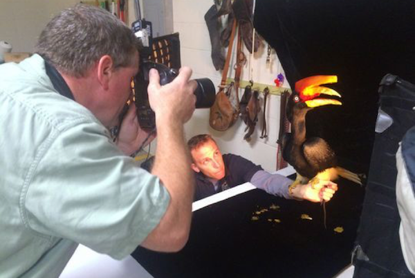 Joel Sartore captures a tropical bird for his tropical photo collection.