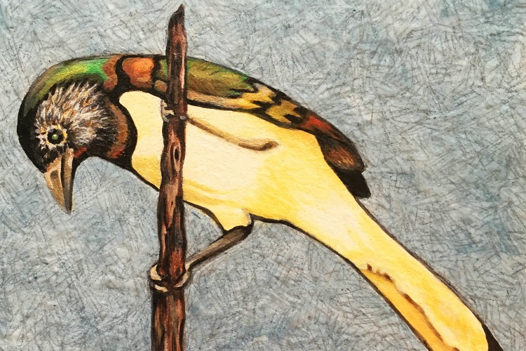 Painting of a bird by Renee Harris