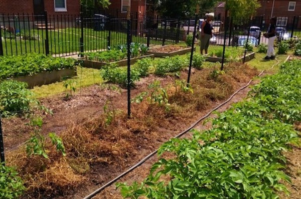  Turner Farm in Winton Terrace 