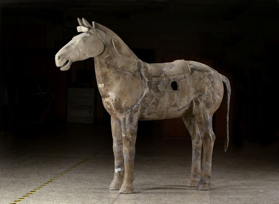 Cavalry Horse, Qin dynasty (221–206 BC), earthenware, Excavated from Pit 2, Qin Shihuang’s Mausoleum, 1977, Emperor Qin Shihuang’s Mausoleum Site Museum