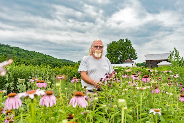 Visit Shaker Trace Seed Nursery on the first Saturday of August during their public open house 