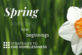 Strategies to End Homelessness