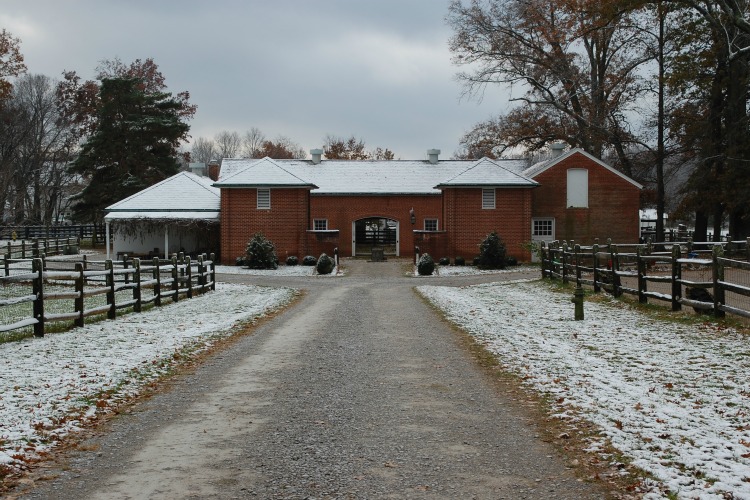 Bonnie Mitsui loved her horses and her stable, and believed the animals would one day play a role in agriculture again.