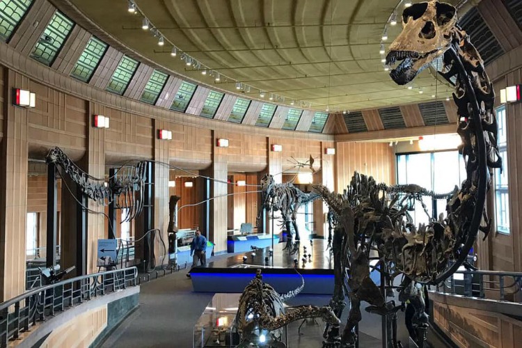 The grand entrance to the new Dinosaur Hall at the Cincinnati Museum Center.