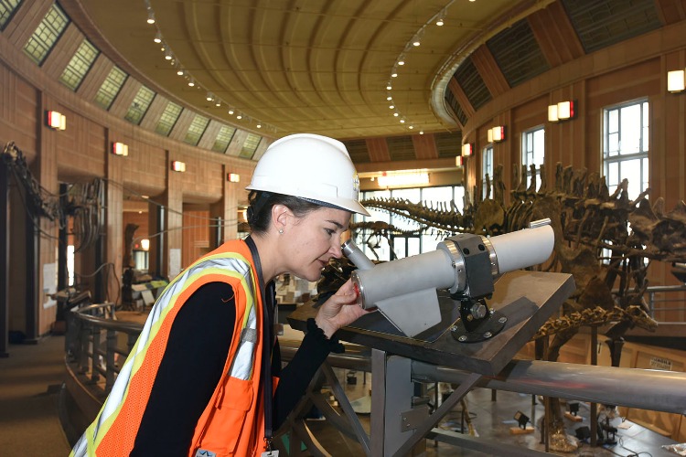 Video microscopes are available for closer observation.