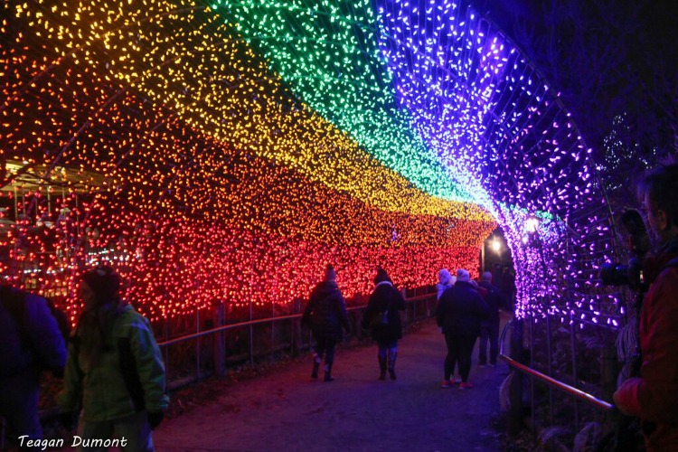 The Festival of Lights runs through Jan. 1.