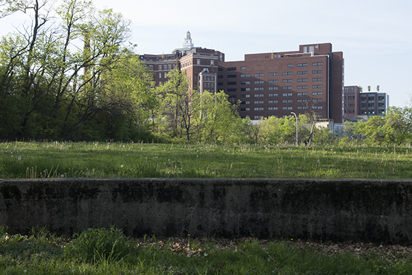 The Christ Hospital, looming over Inwood Park in Mt. Auburn, is a major Uptown employer