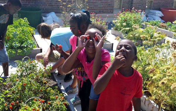 Students at Rothenberg Academy in OTR harvest produce from their rooftop garden