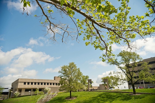 NKU is providing free garden plots, seeds, advice and equipment