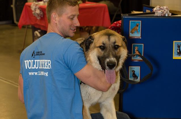 More than 13,000 people turned out to interact with and adopt animals at My Furry Valentine