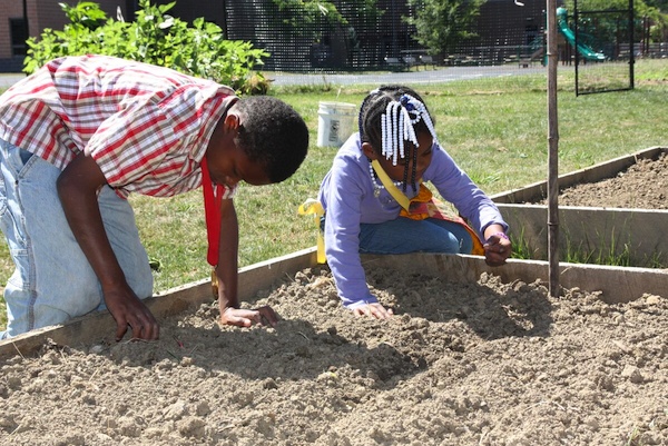 Civic Garden Center's garden plot at Pleasant Hill Academy